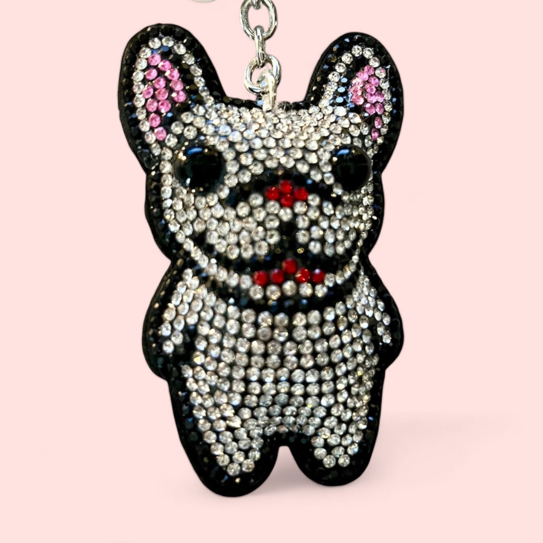 French Bulldogs: The Cutest Canines in Town!