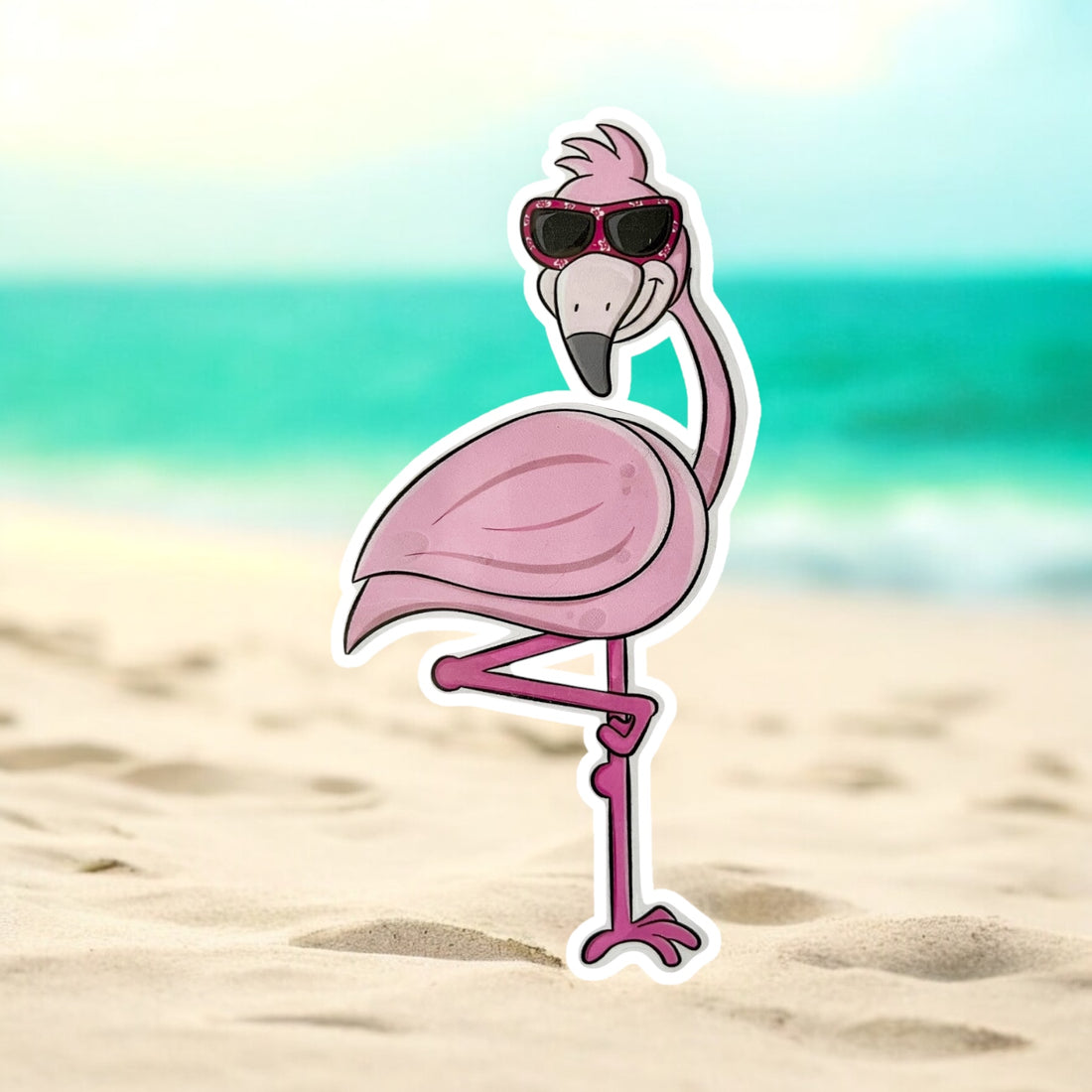 Discover the Top 10 Places Where Flamingos Live