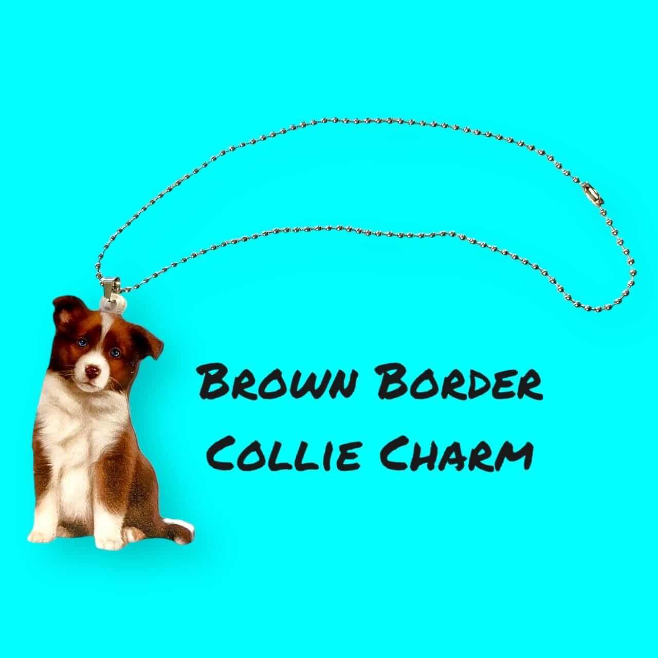 Cute brown Border Collie acrylic keychain on turquoise background with text "Brown Border Collie Charm"