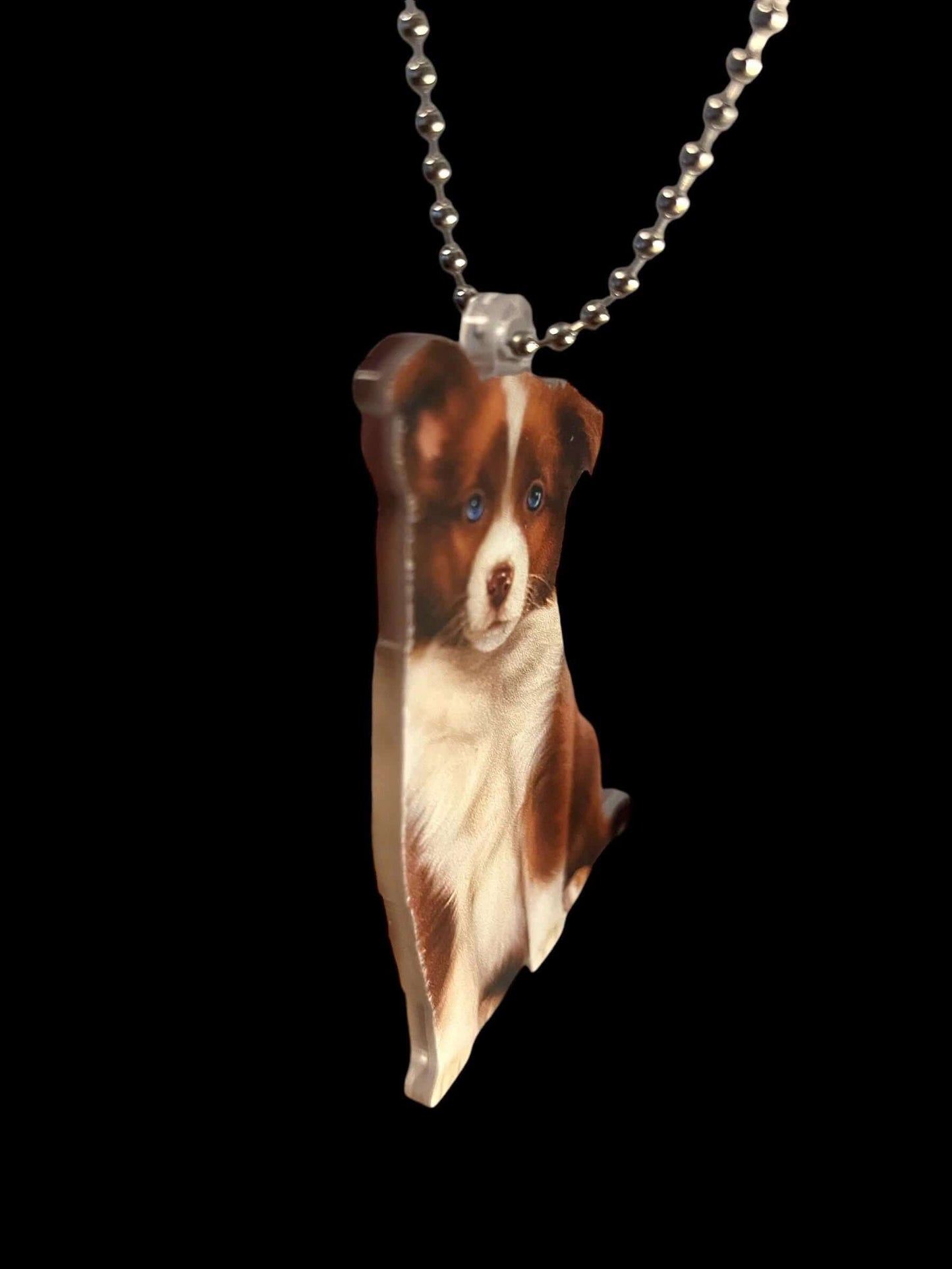 Cute Brown Border Collie acrylic keychain hanging on a silver chain.